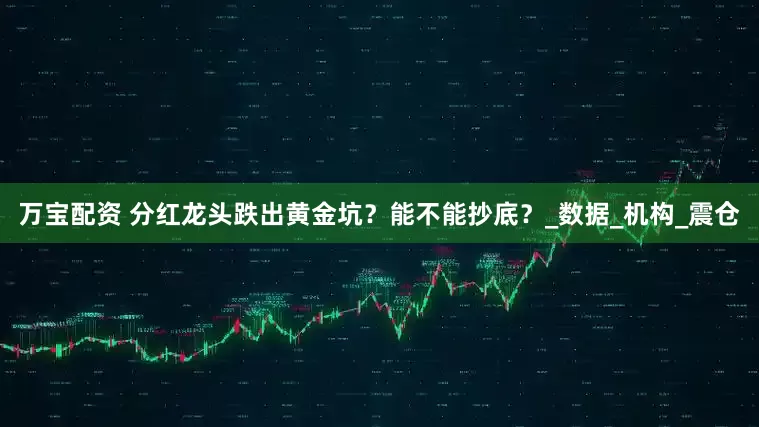 万宝配资 分红龙头跌出黄金坑？能不能抄底？_数据_机构_震仓